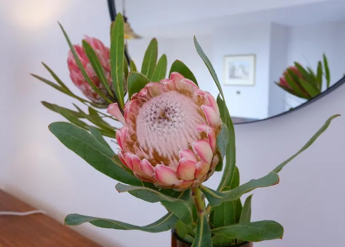 Garajau House - Sunrise To Sunset Ocean View 度假居 *